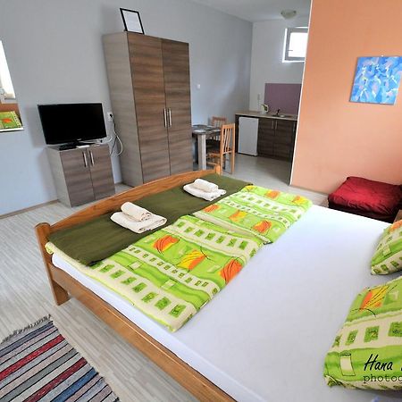 Apartments Svetlica Backi Petrovac Buitenkant foto