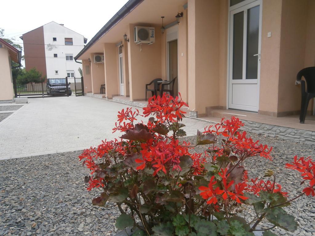 Apartments Svetlica Backi Petrovac Buitenkant foto